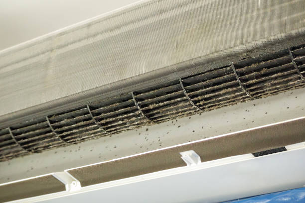 Best Air Duct Cleaning Near Me  in Cetronia, PA